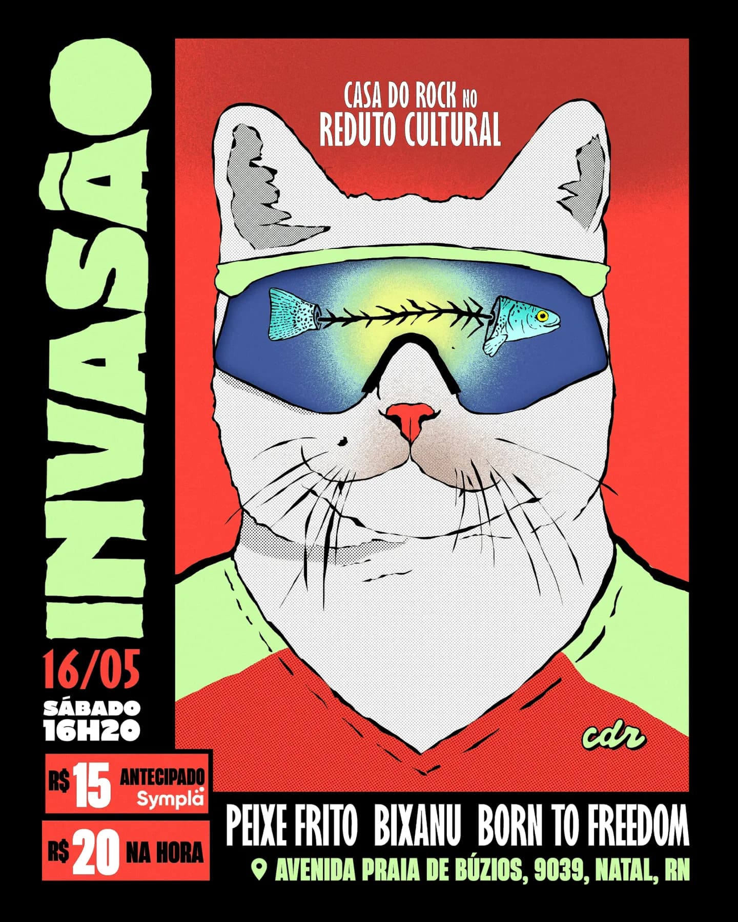 Invasão