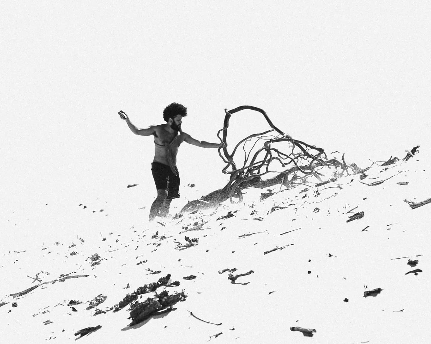 Curta Mariposa - Foto: Divulgação