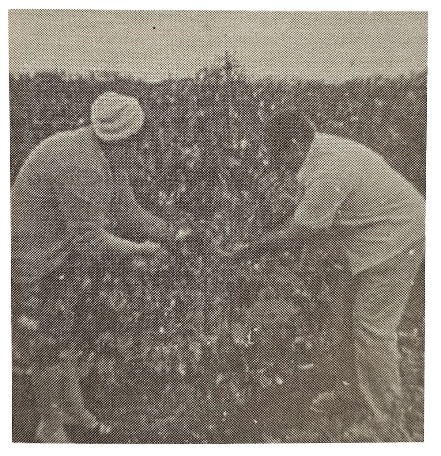 Foto Colhendo Café_Livro Um Homem Dinâmico Firmino de Castro - Autora íris de Castro Lima